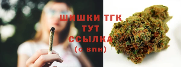 бошки Абаза
