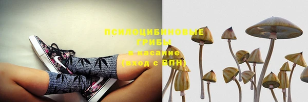 амф Абинск