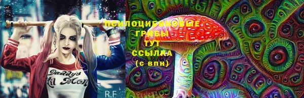 бошки Абаза